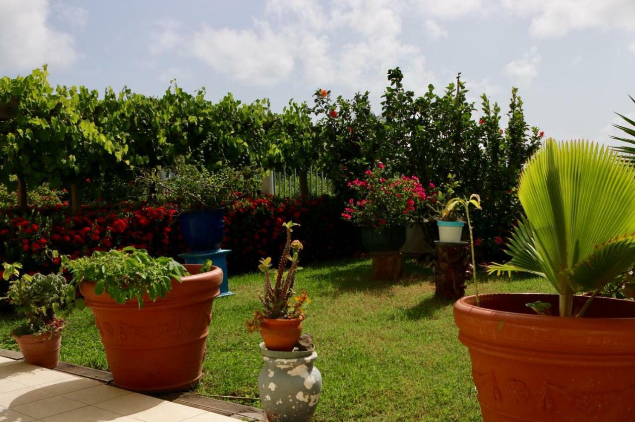 Bed & Breakfast 6 Suites Piscine Et Plage Pointe Faula Le Vauclin Exterior foto
